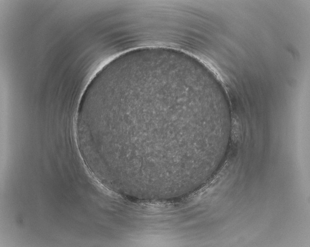 X0000115390895200911171454