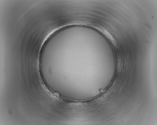 X0000115390896200911171454