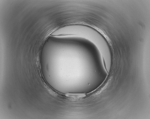 X0000115390897200911171454