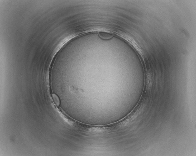 X0000115390898200911171454