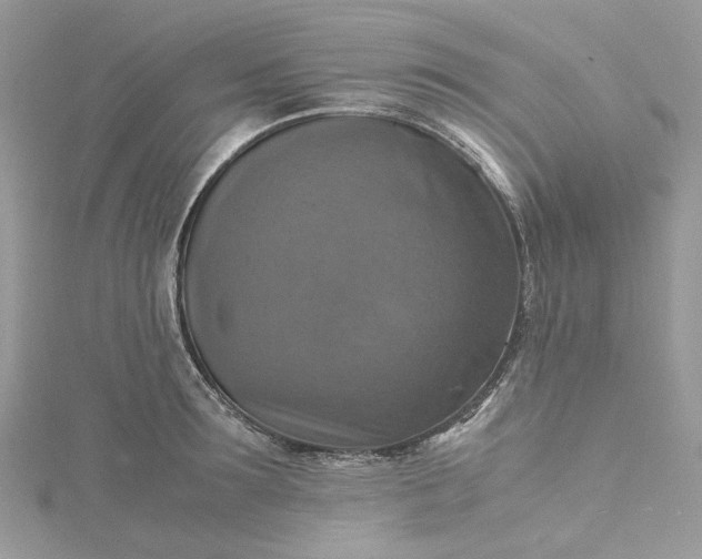 X0000115390899200911171454