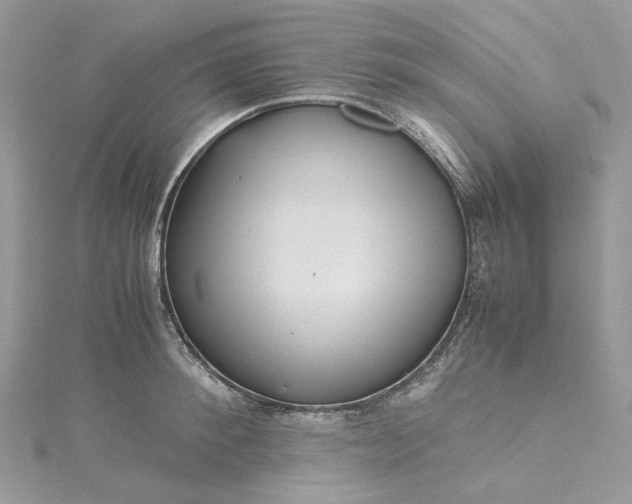 X0000115390900200911171454