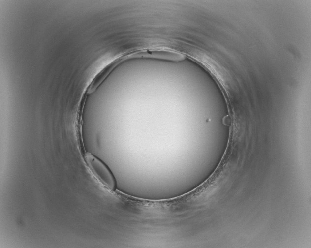 X0000115390901200911171454