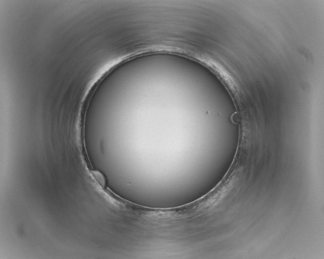 X0000115390902200911171454