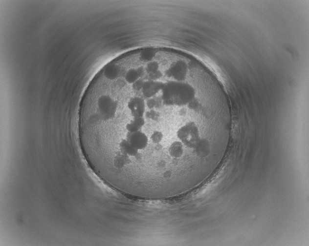 X0000115390903200911171454