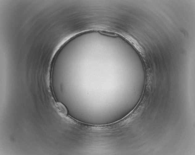 X0000115390904200911171454