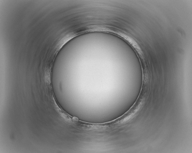 X0000115390905200911171454