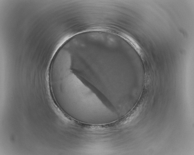 X0000115390907200911171454