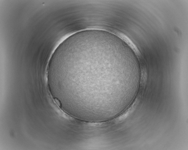 X0000115390908200911171454