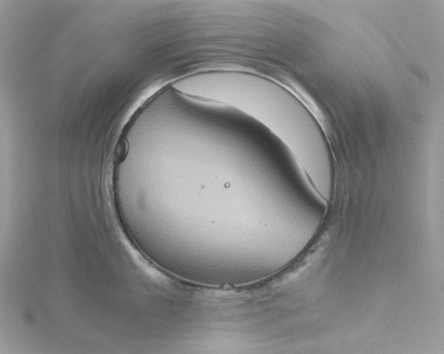 X0000115390909200911171454