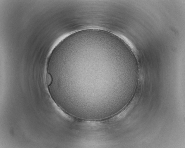 X0000115390910200911171454