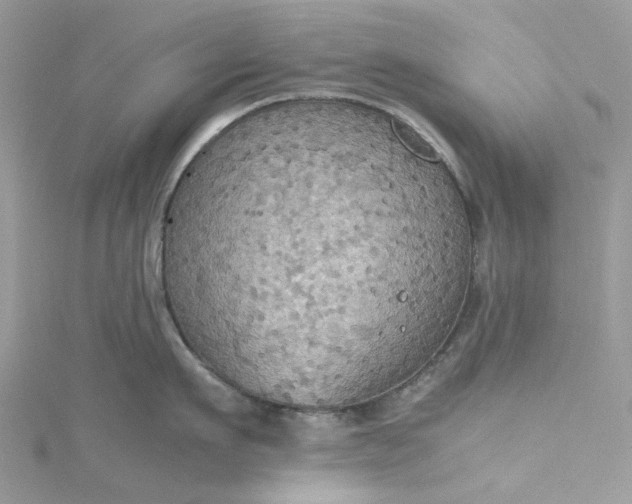 X0000115390911200911171454