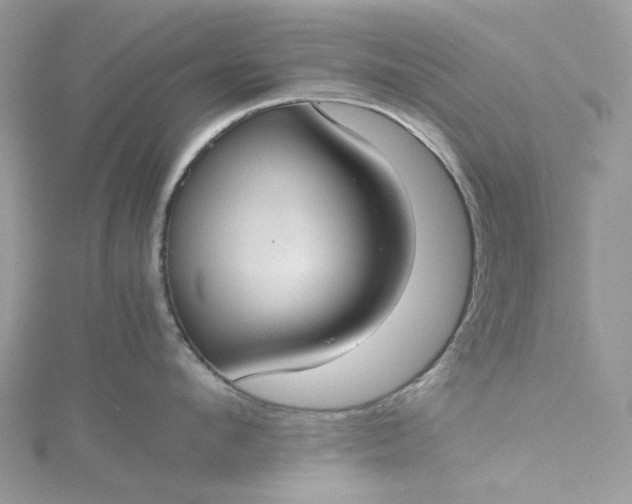 X0000115390912200911171454