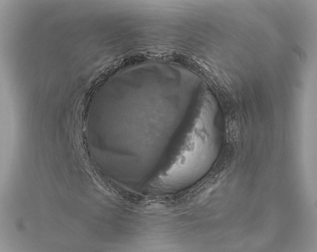 X0000115390913200911171453