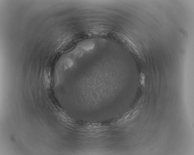 X0000115390915200911171453