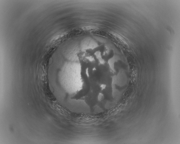 X0000115390917200911171453