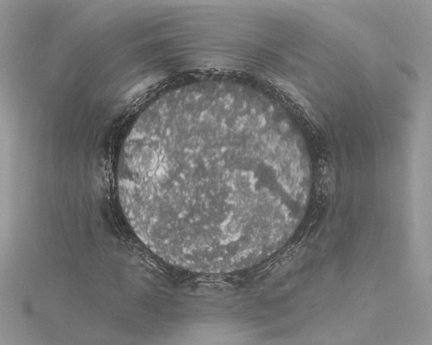 X0000115390918200911171453