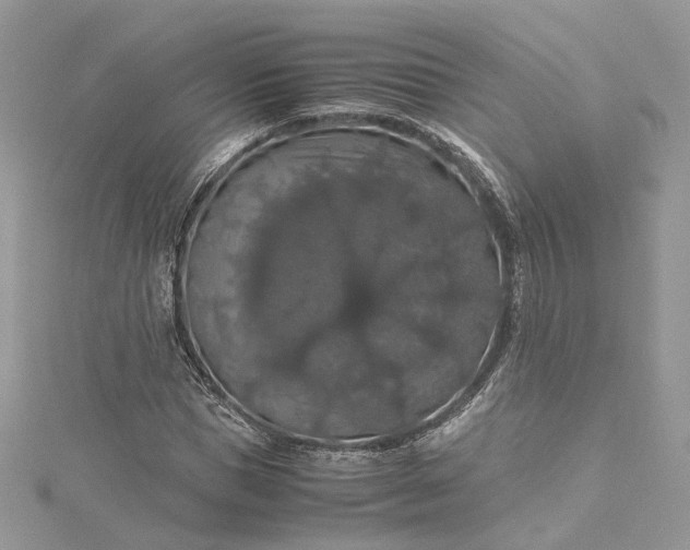 X0000115390921200911171453