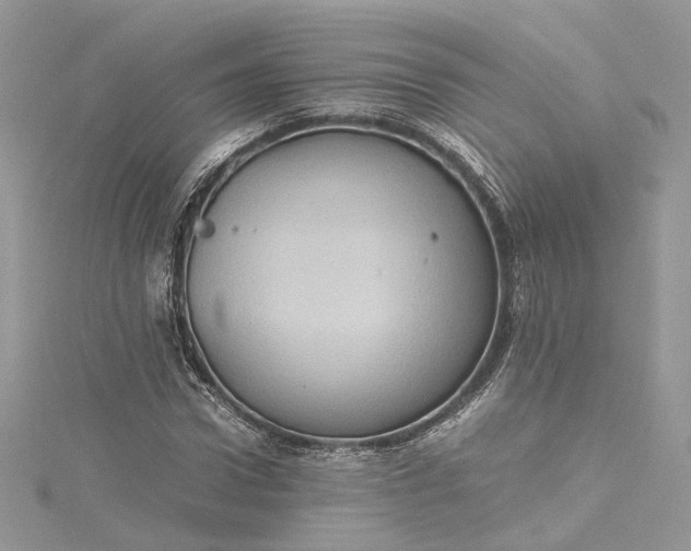 X0000115390922200911171453