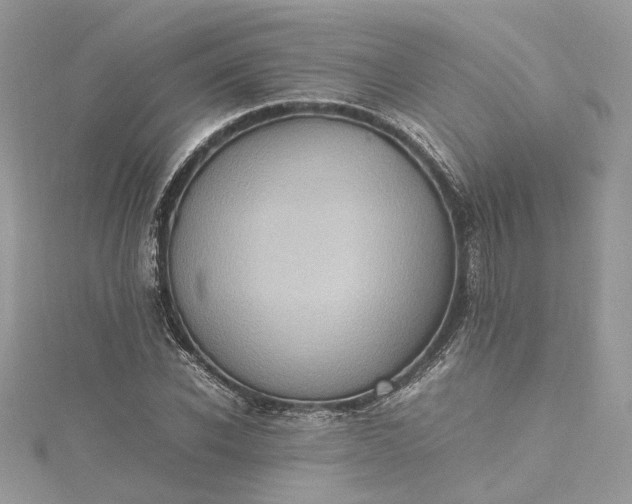 X0000115390926200911171453