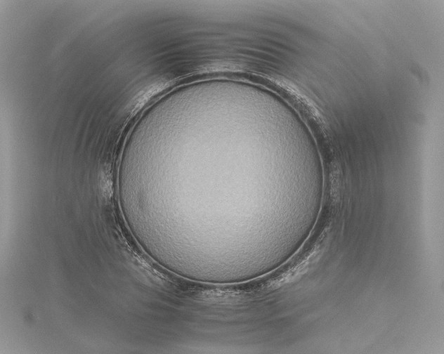 X0000115390929200911171453