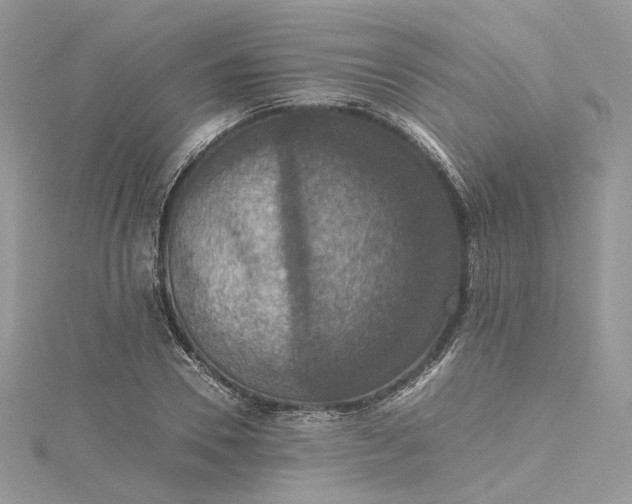 X0000115390930200911171453