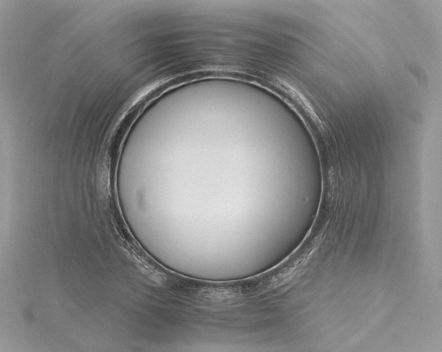 X0000115390931200911171453