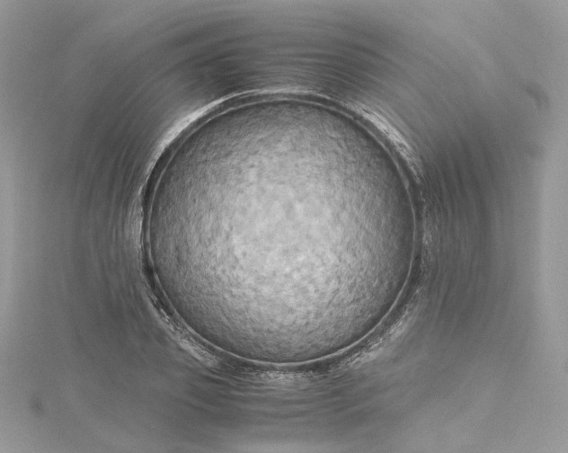 X0000115390933200911171453