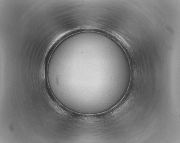 X0000115390934200911171453