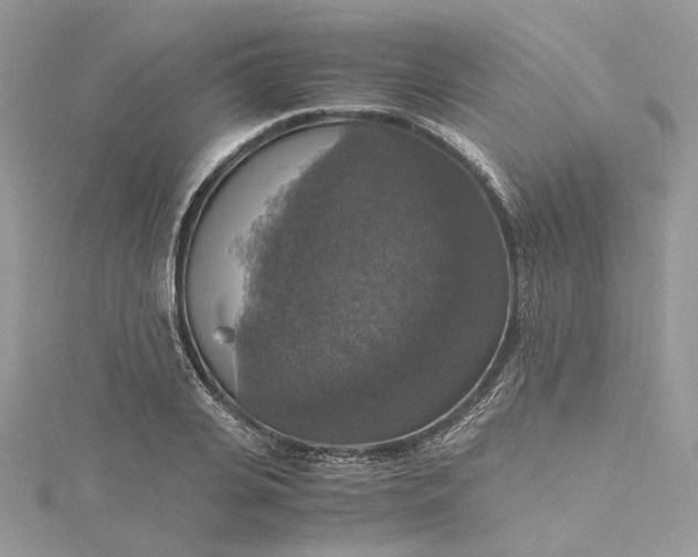 X0000115390935200911171453