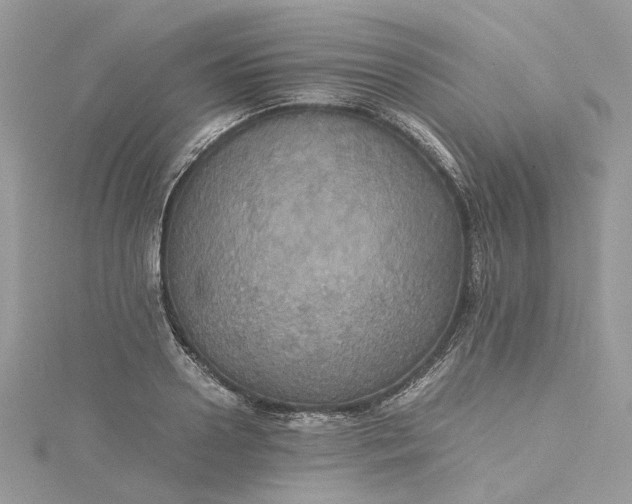 X0000115390938200911171453