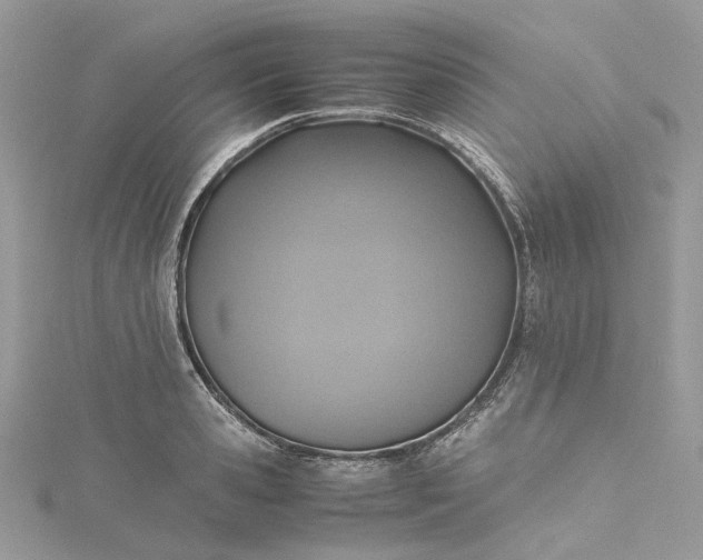 X0000115390941200911171453