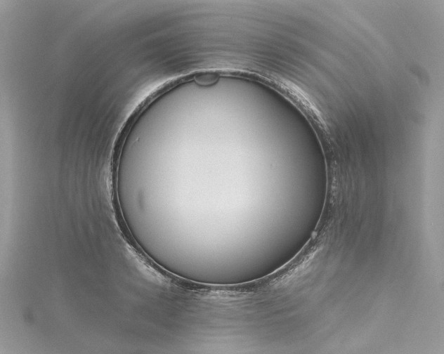 X0000115390942200911171453