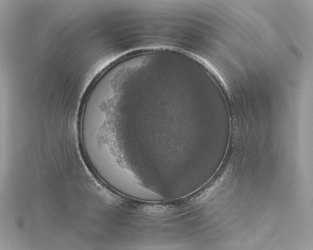 X0000115390943200911171453