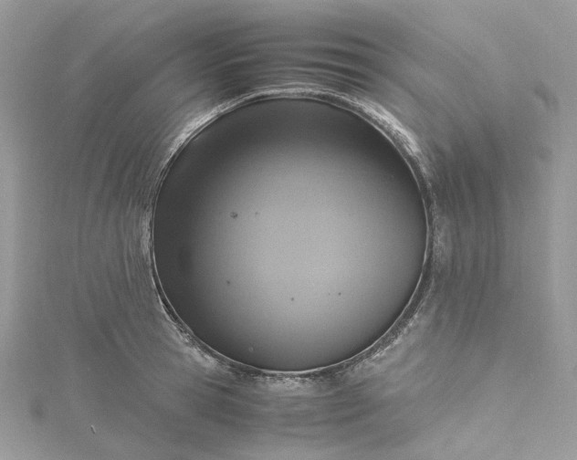 X0000115390945200911171453