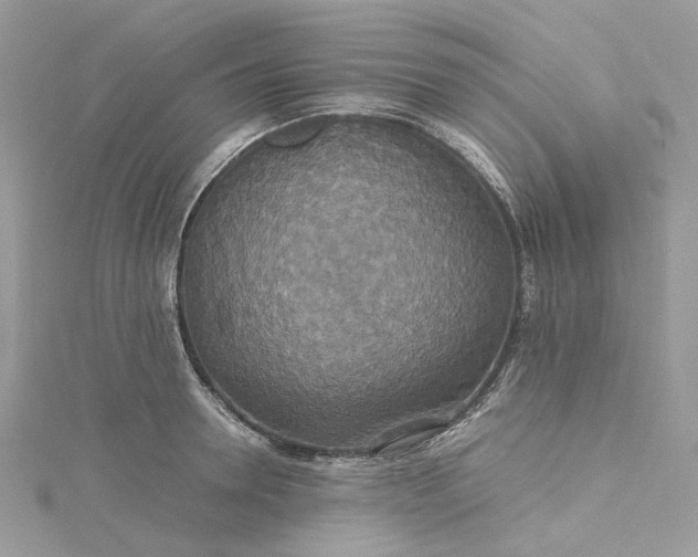 X0000115390946200911171453