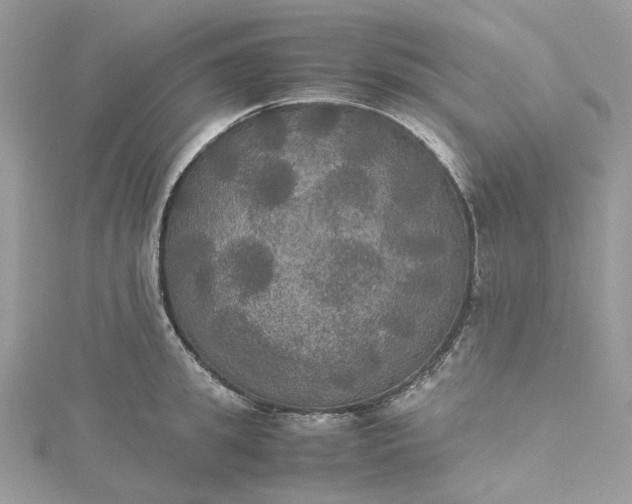 X0000115390949200911171454