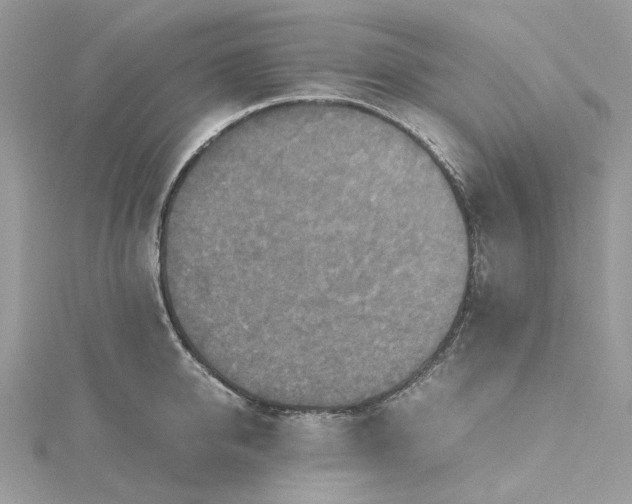 X0000115390950200911171454