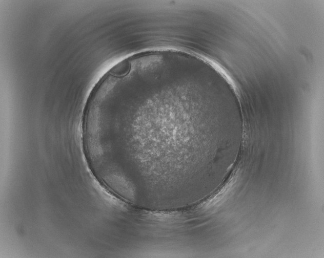 X0000115390951200911171454