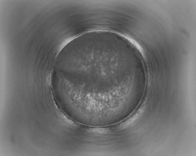 X0000115390953200911171454