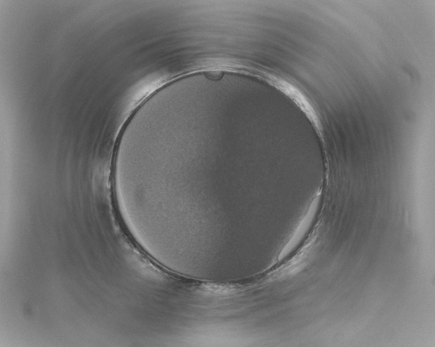 X0000115390954200911171454