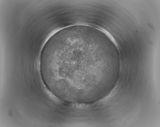 X0000115390955200911171454