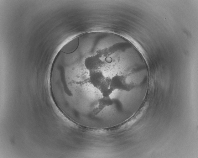 X0000115390957200911171454