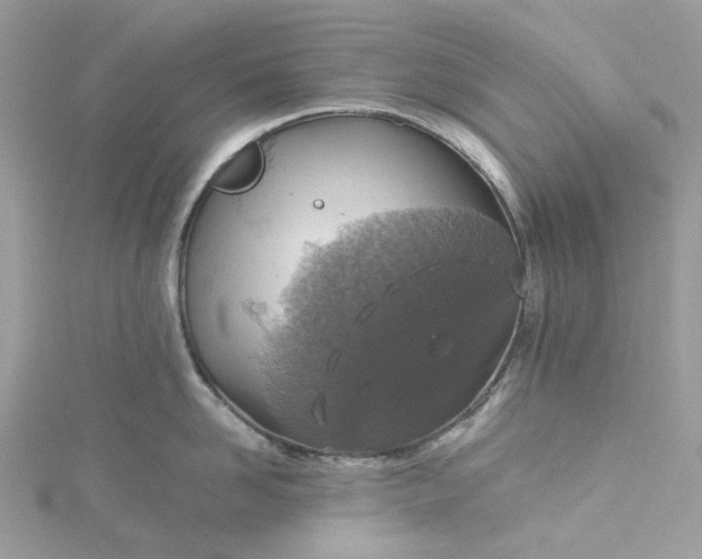 X0000115390958200911171454