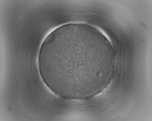 X0000115390959200911171454