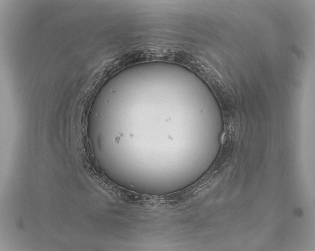 X0000115390961200911171453