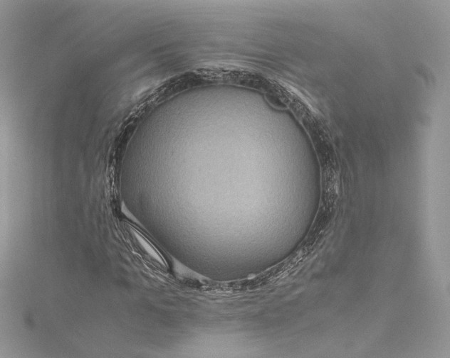 X0000115390965200911171453