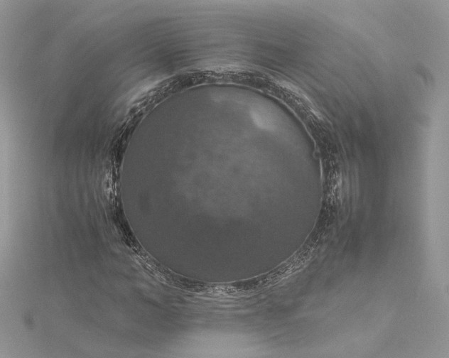 X0000115390966200911171453