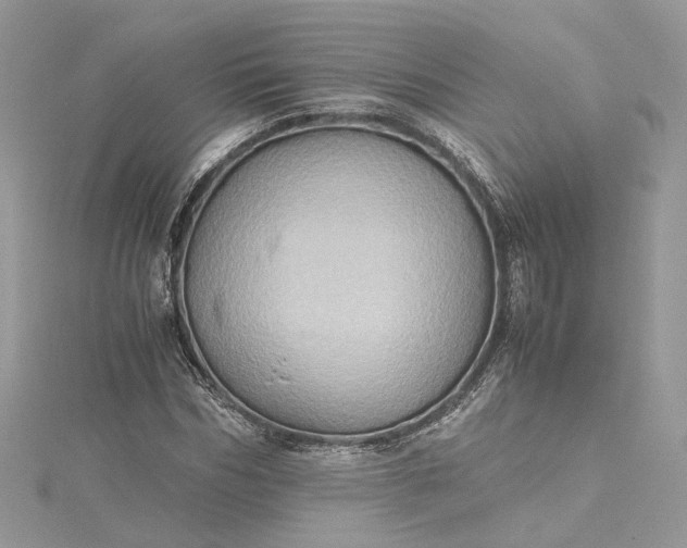 X0000115390970200911171453