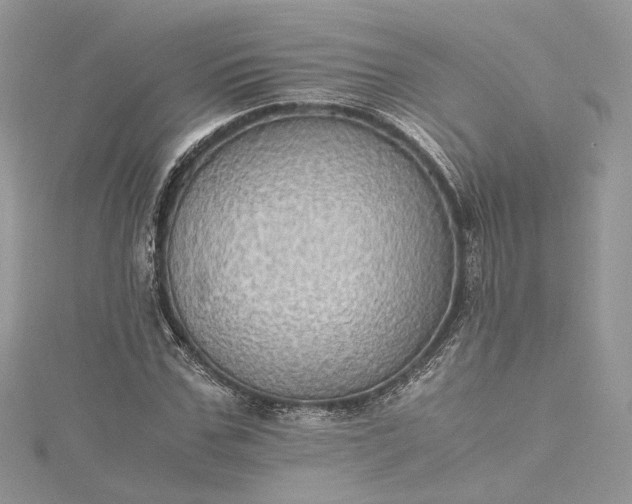 X0000115390971200911171453